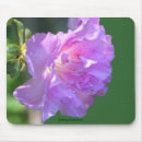 Search for azaleas mousepads Floral