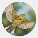 Search for yellowhammer stickers Bird
