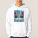 Search for rainbow lorikeet Animal