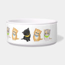 Recherche de grand chat articles Chaton
