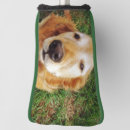 Search for golden retriever golf head covers Golfer