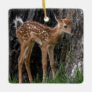 Search for fawn ornaments Deer