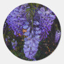 Search for touching stickers Flowers