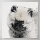 Search for original drawing posters Dog