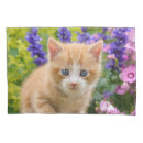 Search for funny cat pillowcases Kitten