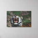 Search for fangs art Animal