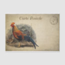 Search for french decoupage paper Bird