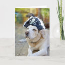 Search for pirate photography Pirates