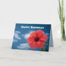 Search for hibuscus Flower