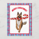 Recherche de berger allemand joyeux noël cartes postales Animal