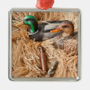 Search for duck hunter ornaments Hunters