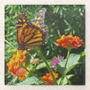 Recherche de photos papillons de dessous de verres Fleur