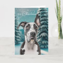 Search for great dane christmas cards Pets