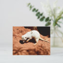Recherche de creusement cartes postales Creuser