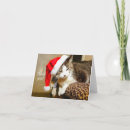 Search for siamese cat christmas cards Kitty