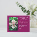 Search for sympathy thank yous Flowers