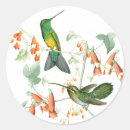 Search for hummingbird and flower stickers Animals