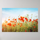 Search for fields of flowers posters Summer
