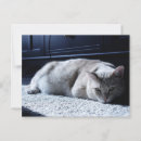 Search for warmth postcards Cute