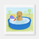 Search for golden retriever magnets Dog