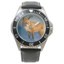 Search for fox watches Wildlife