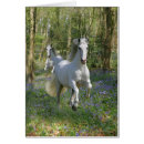 Recherche de jacinthe des bois cartes postales Imaginaire