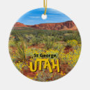 Search for southwest ornaments United states of america