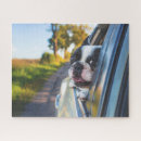 Recherche de le bouledogue puzzles Amusant