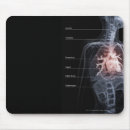 Recherche de organes internes tapis souris Avant