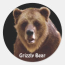 Search for grizzly stickers Animals