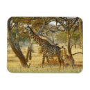 Recherche de mineur magnets Bébé