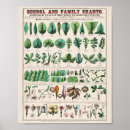 Search for form posters Vintage