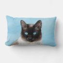 Search for siamese cat pillows Cute