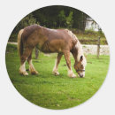 Recherche de chevaux trait autocollants Équin