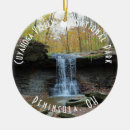 Search for akron ornaments Ohio