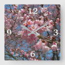 Recherche de fleurs roses horloges Fleurir