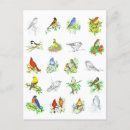 Search for ornithological postcards Ornithology
