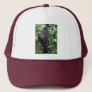 Recherche de red baseball hats Animaux