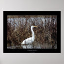Recherche de oiseaux de marais art Héron