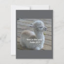 Search for testament postcards Old