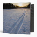 Search for forest path office supplies Snow