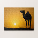Search for camel puzzles Arab
