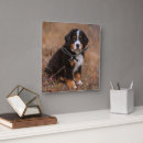 Recherche de image de couleur horloges Animaux domestiques