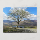 Recherche de killarney cartes postales Irlande