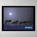 Search for arctic wolf posters Snow