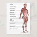 Recherche de système musculaire cartes postales Humain