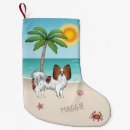 Recherche de noël de papillon Nom