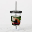 Search for panda tumblers Animal