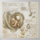 Search for leonardo da vinci posters Italian