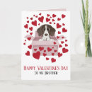 Search for brother valentines day cards For him